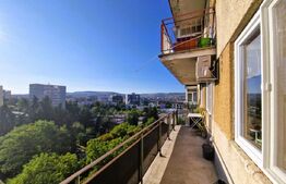 Apartament 2 camere, zona Iulius Mall