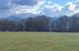 Teren de vanzare, intravilan, 2500 mp, Râșnov - Panicel