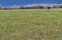 Teren de vanzare, intravilan, 2500 mp, Râșnov - Panicel