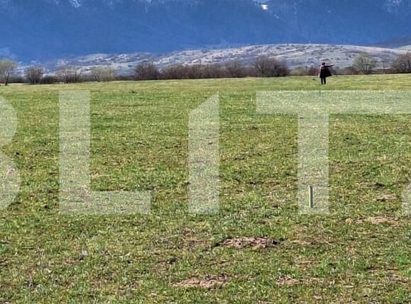 Teren de vânzare Rasnov - 156227TV | BLITZ Brașov | Poza4