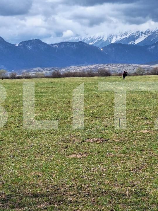 Teren de vânzare Rasnov - 156227TV | BLITZ Brașov | Poza4