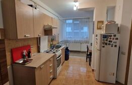 Apartament de 2 camere, etaj intermediar, 48,5 mp, zona Oașului