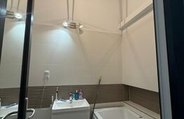 Apartament 45mp, Studio Ultracentral