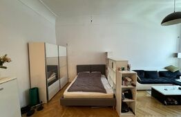 Apartament 45mp, Studio Ultracentral