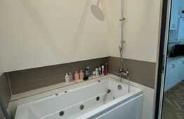 Apartament 45mp, Studio Ultracentral