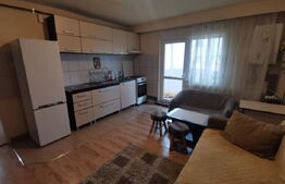 Apartament 2 camere, pet friendly, Sala Sporturilor