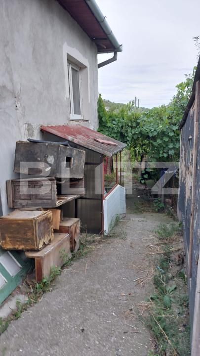 Casa de vânzare 5 camere Apahida - 156310CV | BLITZ Cluj-Napoca | Poza12