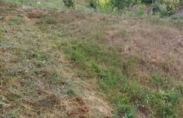 Casă individuală, 1943 mp teren, Suceagu