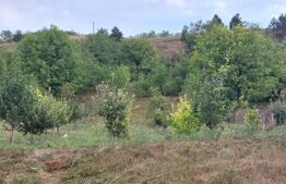 Casă individuală, 1943 mp teren, Suceagu