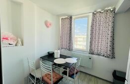 Garsoniera moderna, 32mp, zona BIG, Manastur!