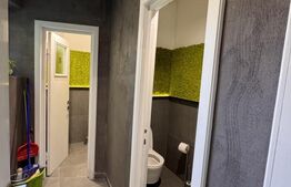 Casa individuala, 330 mp, 6 locuri parcare, Zorilor 