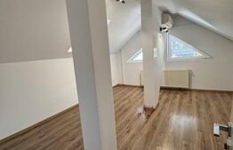 Casa individuala, 330 mp, 6 locuri parcare, Zorilor 