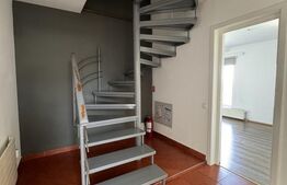 Casa individuala, 330 mp, 6 locuri parcare, Zorilor 