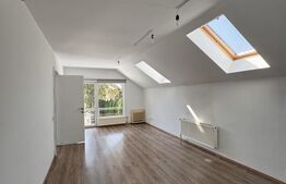 Casa individuala, 330 mp, 6 locuri parcare, Zorilor 