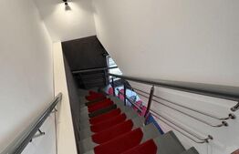 Casa individuala, 330 mp, 6 locuri parcare, Zorilor 