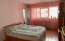 Garsoniera decomandata, 45 mp, pet friendly, zona Calea Turzii