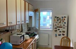 Garsoniera decomandata, 45 mp, pet friendly, zona Calea Turzii