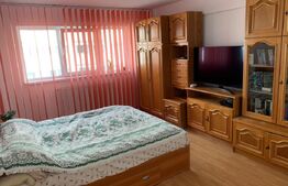 Garsoniera decomandata, 45 mp, pet friendly, zona Calea Turzii