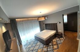 Penthouse, 150 mp, 200 mp terasa, 2 parcări, cartier Buna Ziua