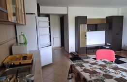 Garsoniera, 40 mp, parcare, balcon, zona Piața 1 Mai