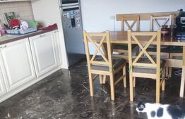 Apartament, 3 camere , complet mobilat-utilat, boxa subsol, zona Stefan Cel Mare