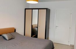 Apartament 2 camere, open space, zona Porii, parcare inclusa