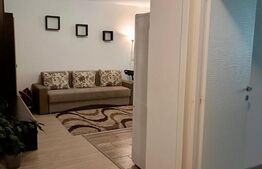 Apartament 2 camere, open space, zona Porii, parcare inclusa