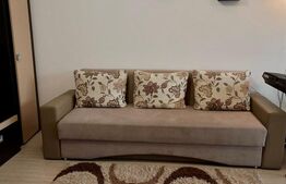 Apartament 2 camere, open space, zona Porii, parcare inclusa