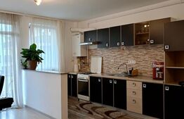 Apartament 2 camere, open space, zona Porii, parcare inclusa