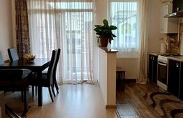 Apartament 2 camere, open space, zona Porii, parcare inclusa