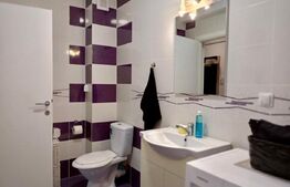 Apartament 2 camere, open space, zona Porii, parcare inclusa