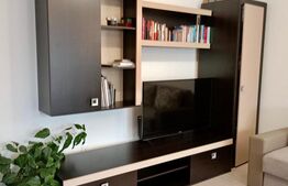 Apartament 2 camere, open space, zona Porii, parcare inclusa