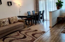 Apartament 2 camere, open space, zona Porii, parcare inclusa