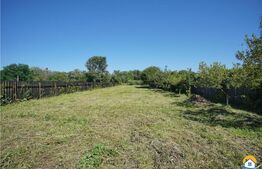 DDe vanzare casa, stadiu gri la interior, Stupini