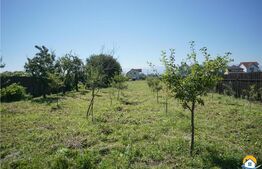 DDe vanzare casa, stadiu gri la interior, Stupini