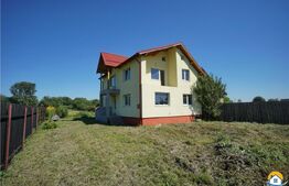 DDe vanzare casa, stadiu gri la interior, Stupini