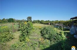 DDe vanzare casa, stadiu gri la interior, Stupini