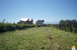 DDe vanzare casa, stadiu gri la interior, Stupini