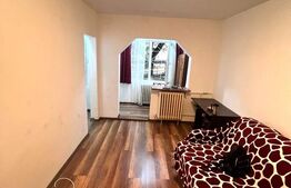 Garsoniera, 22 mp+logie, renovat, orientare sudica, zona Expo Transilvania