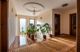 Casă idividuala si curte generoasa, Dâmbu Rotund 