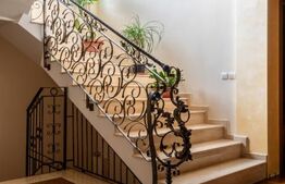 Casă idividuala si curte generoasa, Dâmbu Rotund 