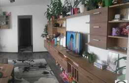 Vanzare apartament 2 camere,54 mp, boxa subsol, zona strazii Constantin Brancusi