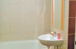 Garsoniera 28 mp, mobilata modern, zona Profi