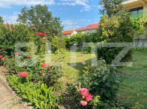 Spațiu comercial de închiriat Andrei Mureşanu - 156589SIC | BLITZ Cluj-Napoca | Poza12