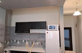 Apartament, 2 camere, 60 mp, parcare, pet friendly, zona C-tin Brancusi 