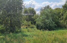 Teren intravilan, 3975mp, intre Hanul din Ardeal si fabrica Olympus