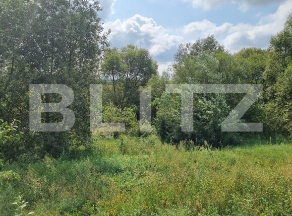 Teren de vânzare Hălchiu - 156625TV | BLITZ Brașov | Poza4