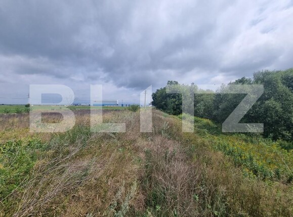 Teren de vânzare Hălchiu - 156625TV | BLITZ Brașov | Poza3
