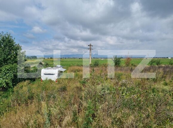 Teren de vânzare Hălchiu - 156625TV | BLITZ Brașov | Poza2