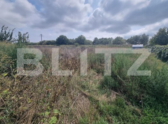 Teren de vânzare Hălchiu - 156625TV | BLITZ Brașov | Poza5